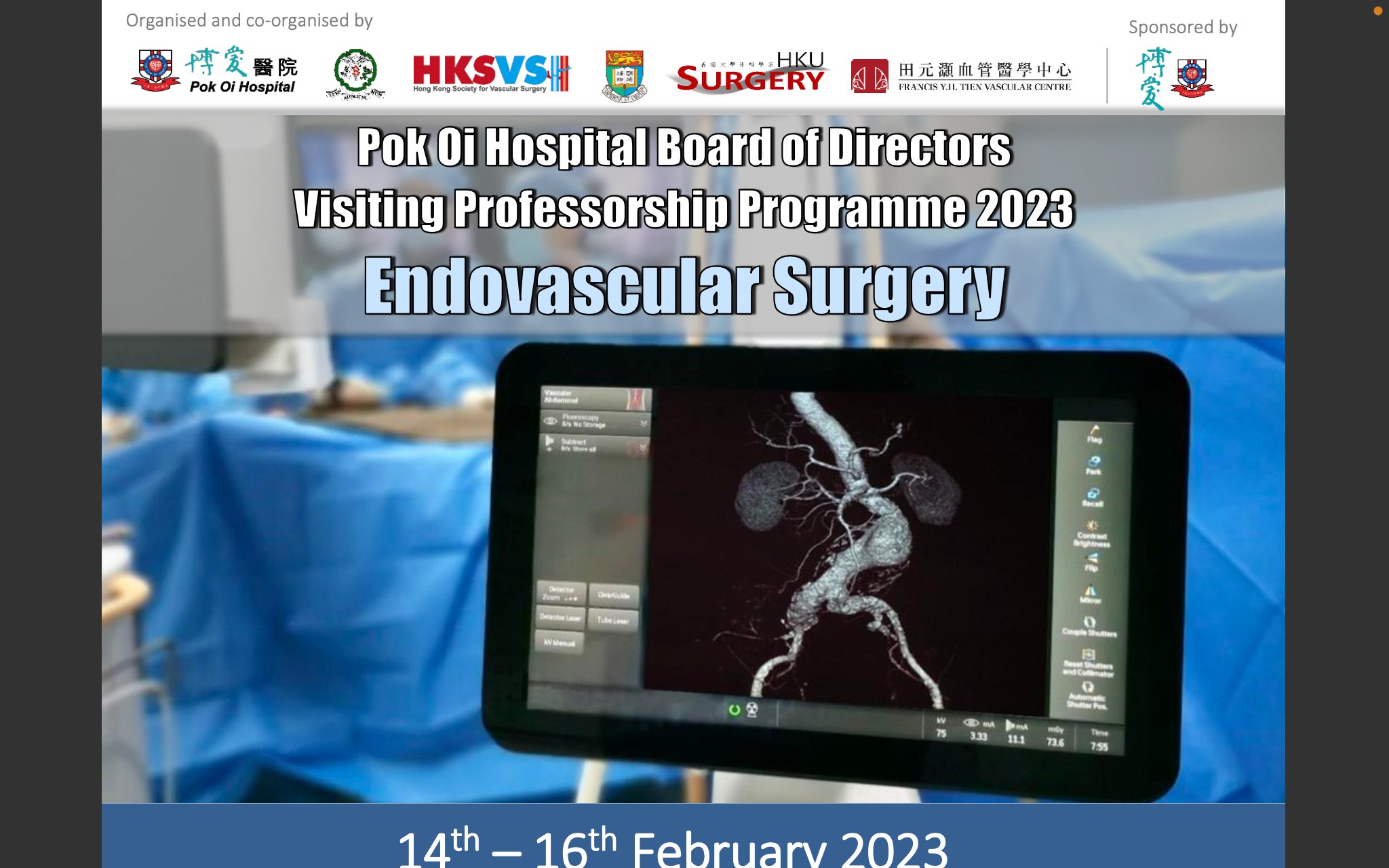 Symposium on Endovascular Surgery 